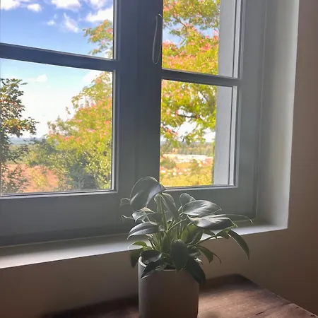 Casa 6 -gourdon 公寓 屈埃尔西地区古尔东