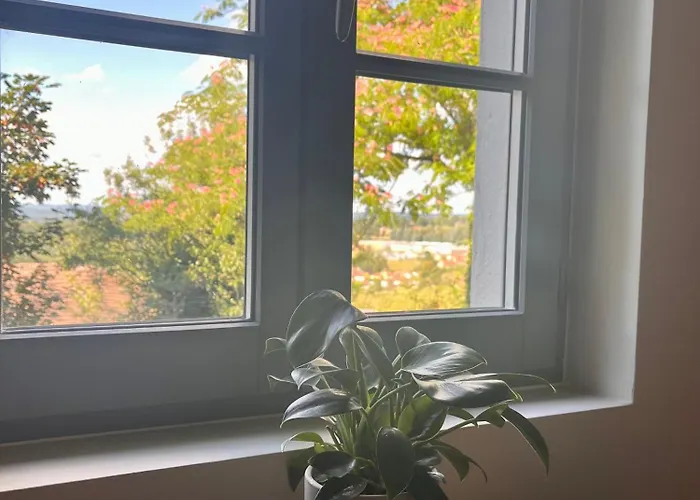 Casa 6 -gourdon Апартаменты Гурдон-ан-Керси